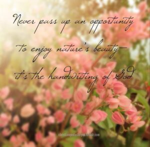 Bible Quotes About Natures Beauty QuotesGram