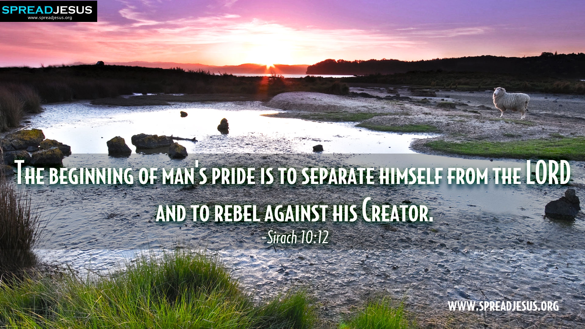 Pride Bible Quotes