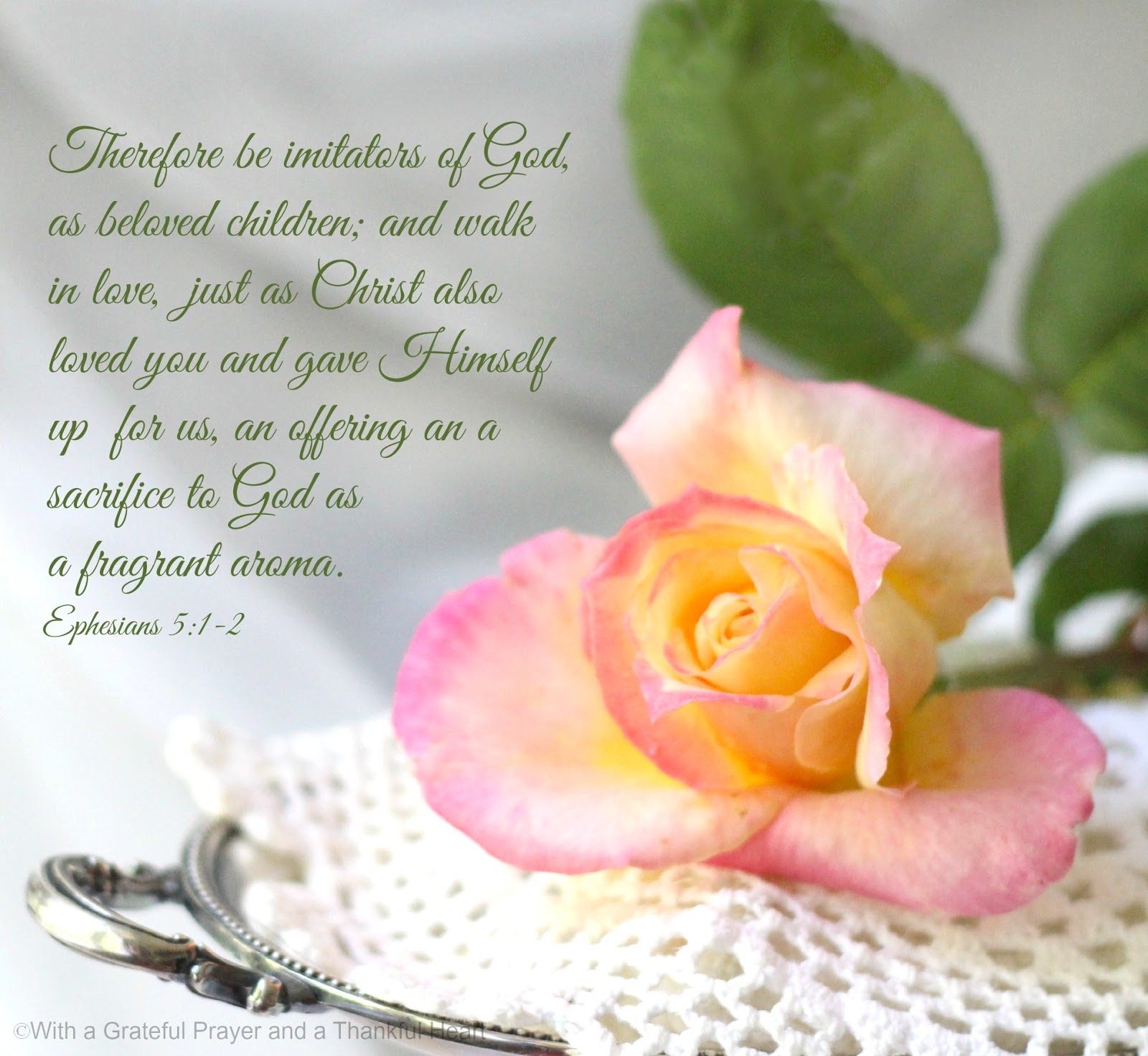 Bible Quotes About Roses QuotesGram