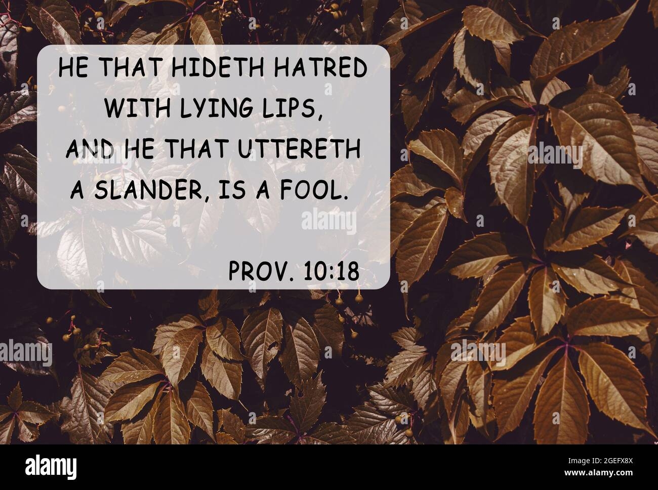 Bible Quotes Autumn Leaves Nature Background Card Text For Believers Inspirational Christian Praying Verse He That Hideth Hatred With Lying Lips A Stock Photo Alamy