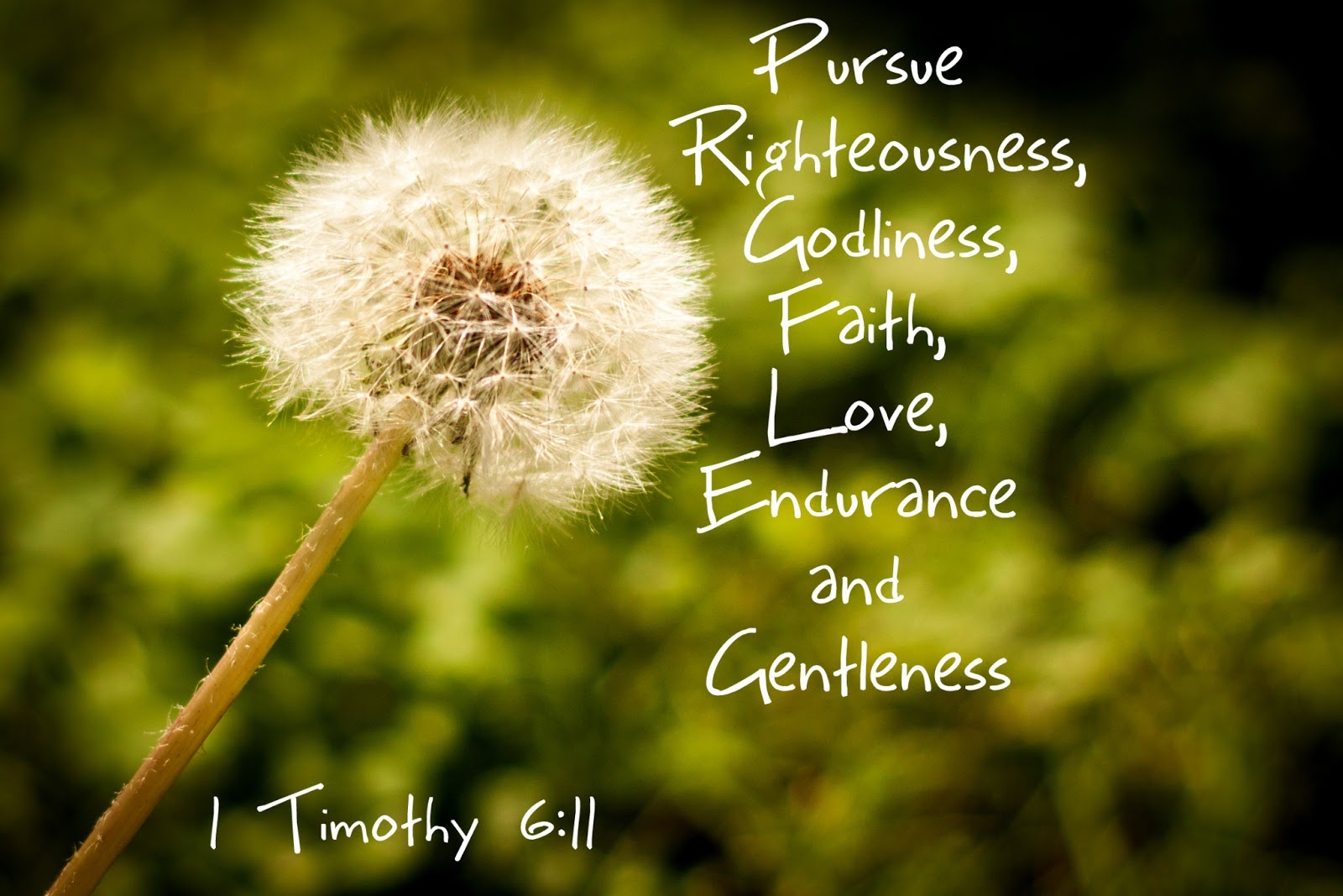 Bible Quotes For March