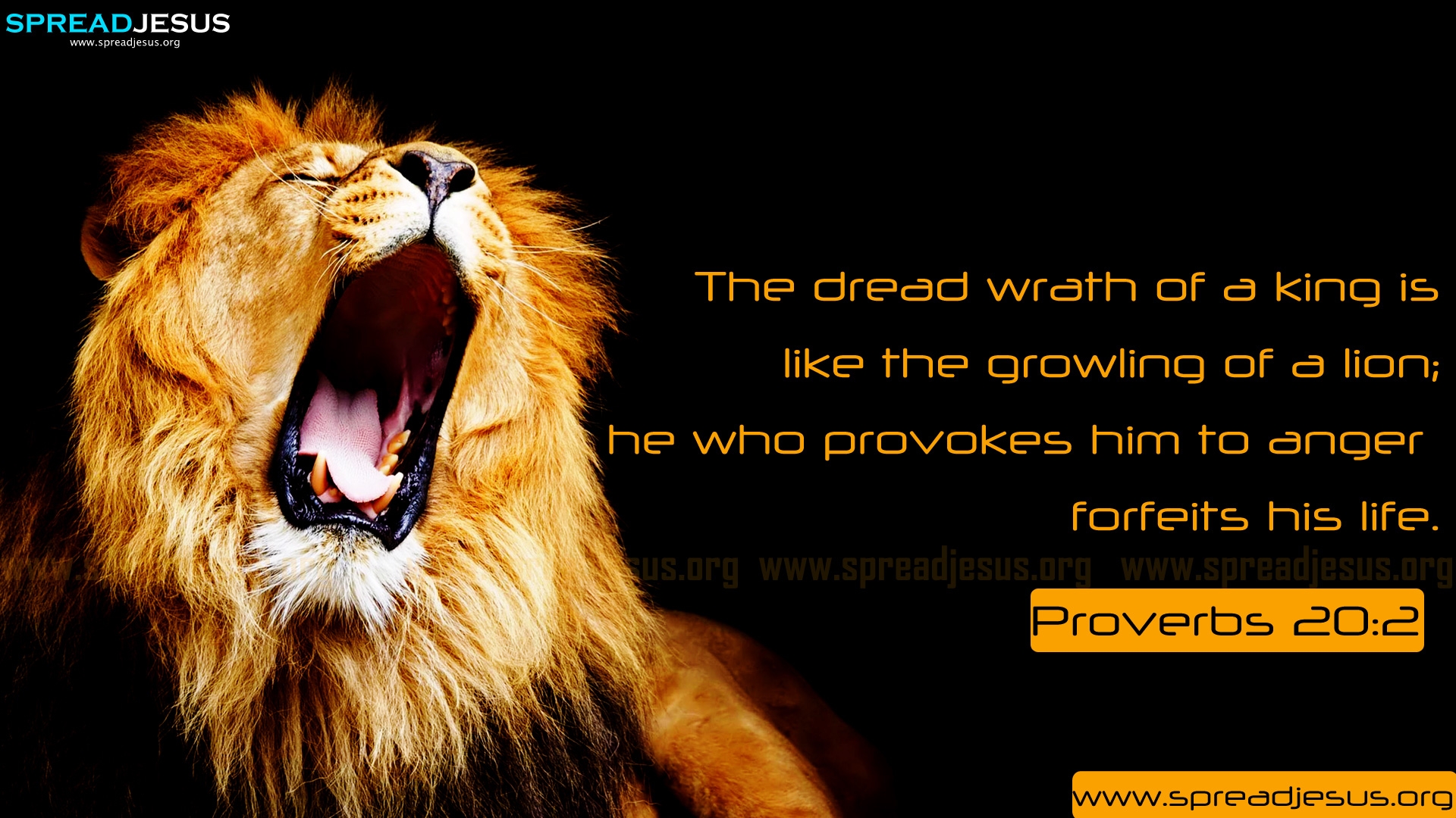 Bible Quotes From The Lion QuotesGram