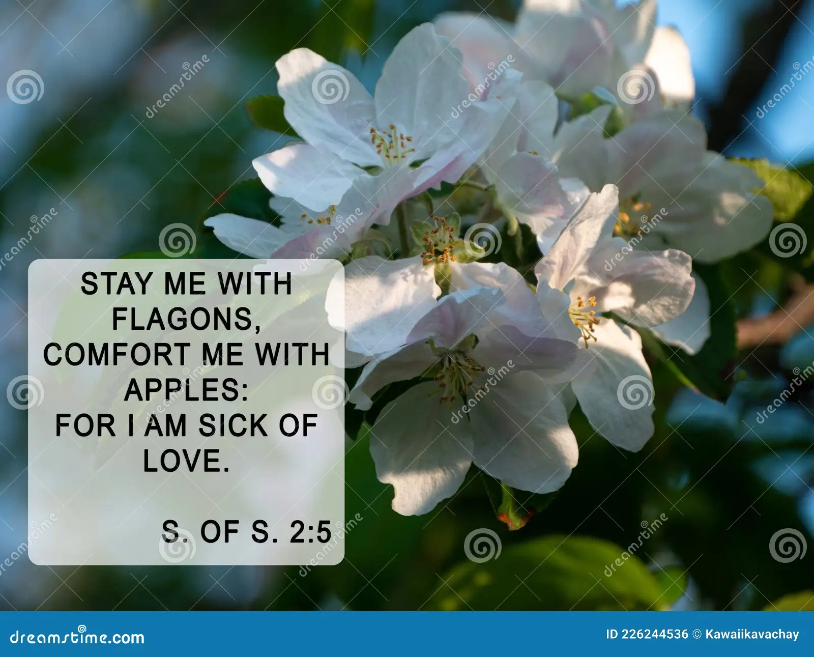 Bible Quotes On Blurred Apple Tree Green Spring Nature Background Card For Believers Stock Photo Image Of Catholic Inspirational 226244536