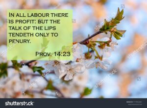 Bible Quotes On Blurred Blooming Nature Stock Photo 1719952681 Shutterstock