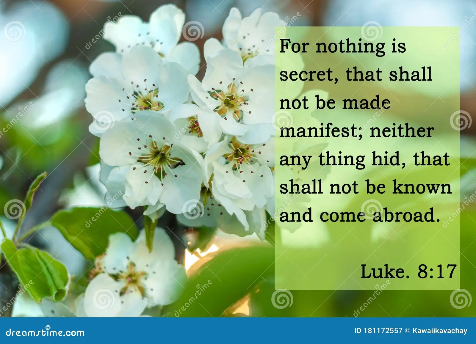 Bible Quotes On Blurred Nature Background Card With Text Sign For Believers Inspirational Verse Thoughts For Praying Stock Image Image Of Biblical Life 181172557