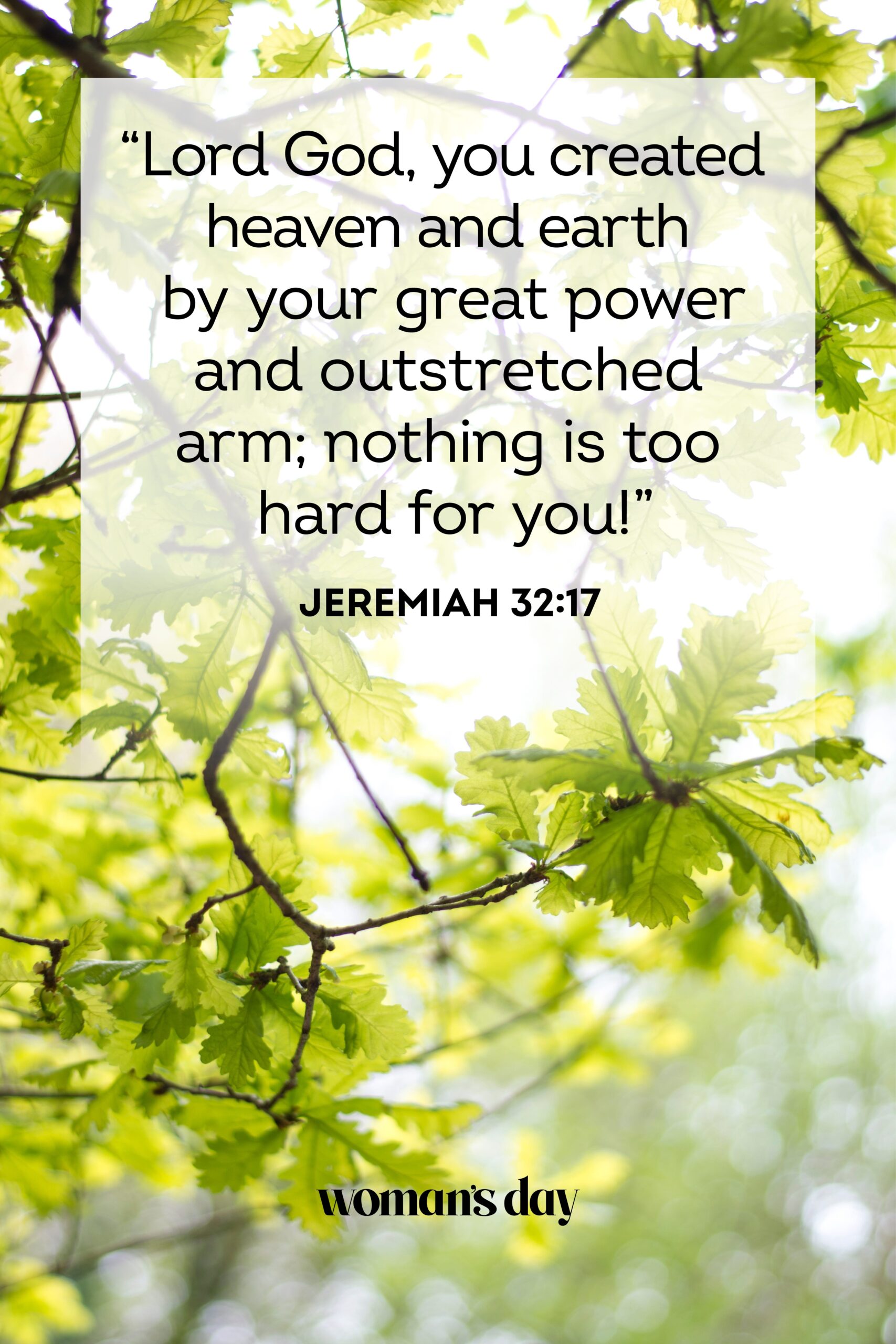 Bible Quotes On Strength Bible Verses About Strength Bible Quotes On Strength Bible Verses About Strength