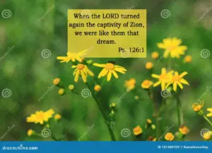 Bible Quotes On Yellow Flowers Background Card With Text Sign For Believers Inspirational Verse Thoughts For Praying Stock Image Image Of Blooming Landscape 181400109