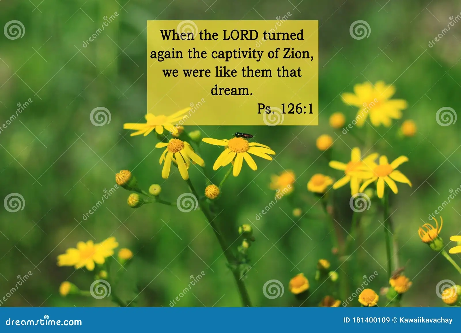 Flower Quotes In The Bible