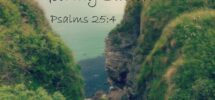 Bible Quotes Path QuotesGram