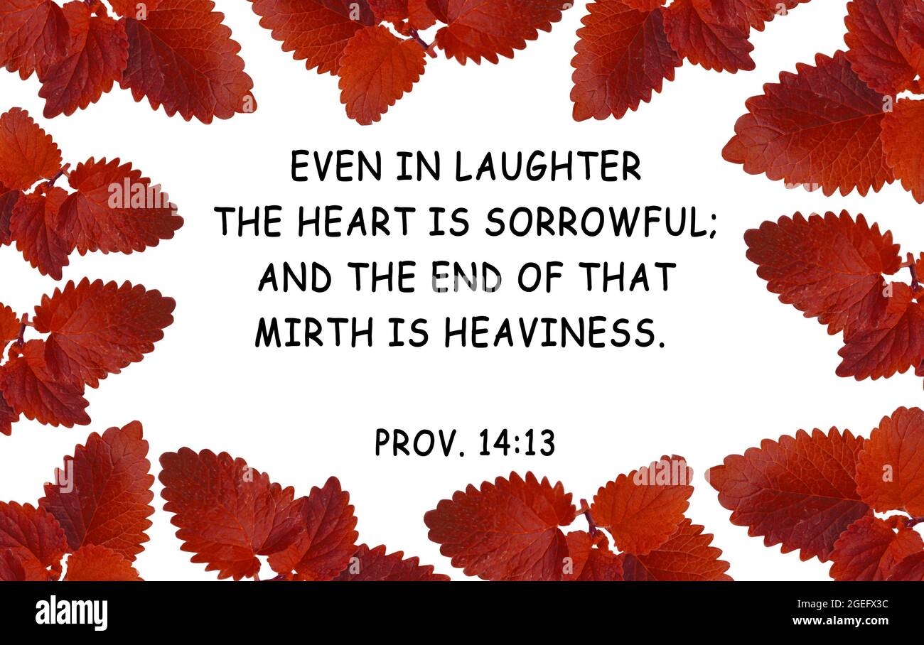 Laughter Bible Quotes