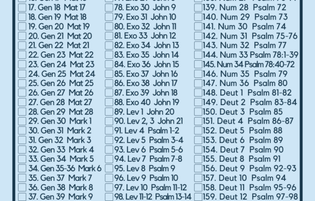 Bible Reading Plan