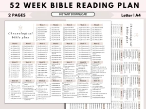 Bible Reading Plan Bible Reading Goals New Testament 365 Days Bible Reading Chronological Bible Tracker Printable Bible In A Year Etsy