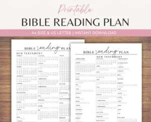 Bible Reading Tracker Printable Chapter By Chapter Checklist Reading Log Daily Bible Study Planner Christian Printable Pages A4 Letter Etsy Norway