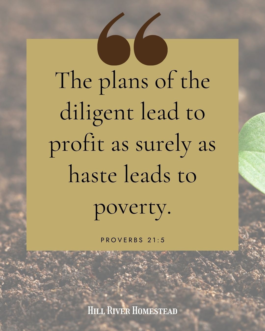 Diligence Quotes Bible