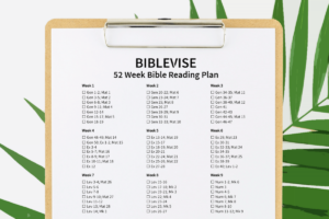 Bible Study Weeks PDF Free Download The Bible In A Year A 52 week Study Bible Study Guide