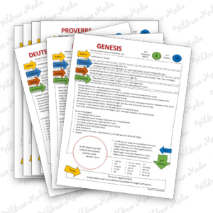 Bible Teaching Sheets The Old Testament NIV Edition Wildrose Media