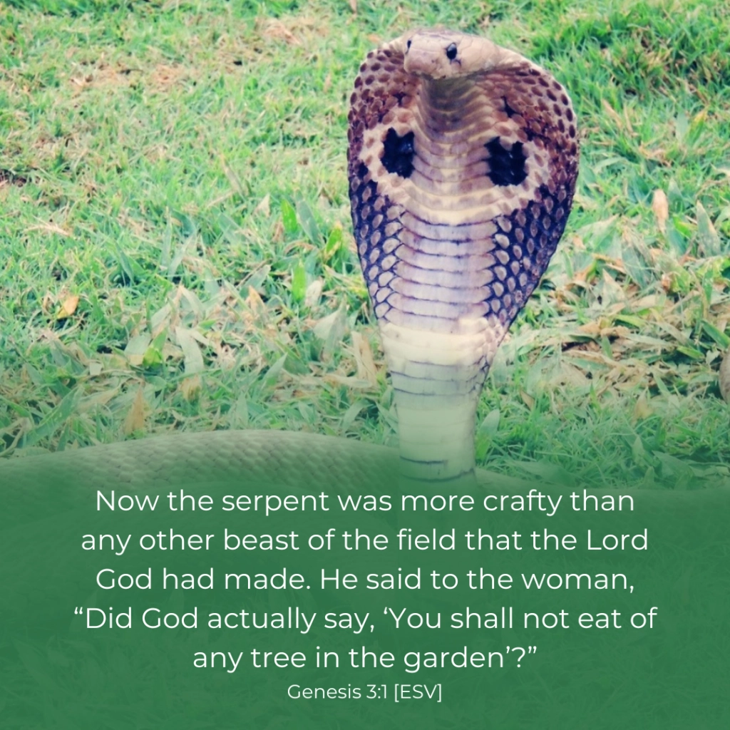 Bible Verse And Prayer Genesis 3 1 The Bible Community