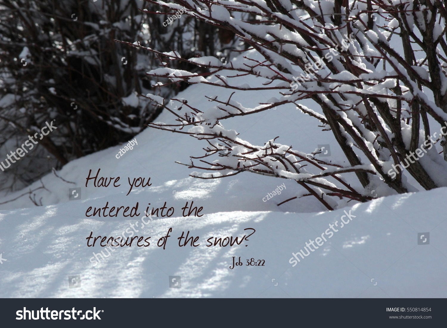 Bible Verse And Winter Over 63 Royalty Free Licensable Stock Photos Shutterstock