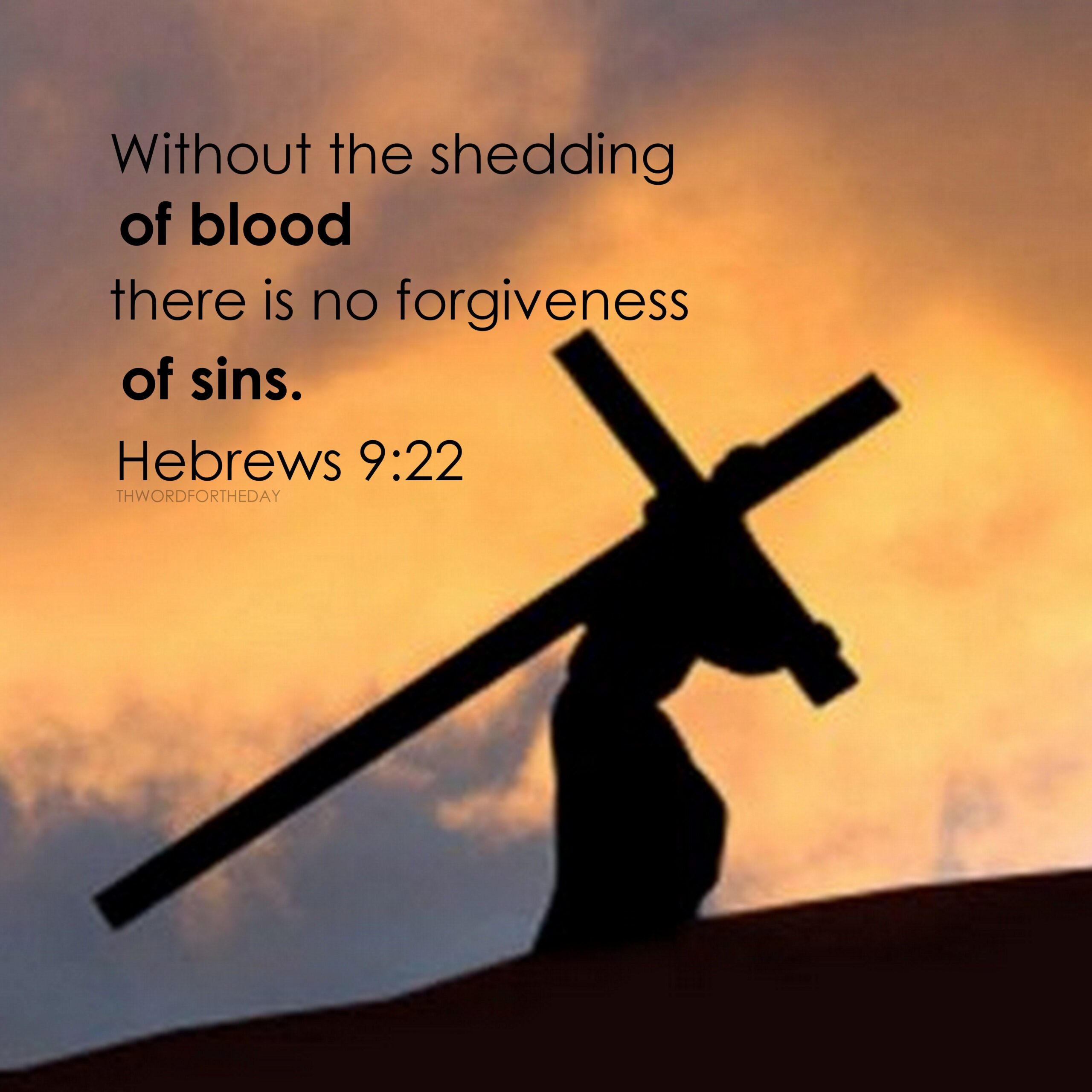 BIBLE VERSE BIBLE QUOTE CROSS MESSAGE THE BLOOD OF JESUS THE WORD FOR THE DAY