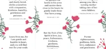 Bible Verse Cards Free Printable Scripture Cards