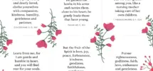 Bible Verse Cards Free Printable Scripture Cards