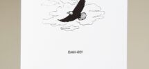 Bible Verse Greetings Card Isaiah 40 31 Scripture Illustrated Eagle