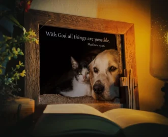 Bible Verse Matthew 19 26 Christian Scripture Dog Cat Art Print 8x10 Unframed Classroom Dog Kennel Breeder Veterinarian Home Wall Decor Gift Etsy