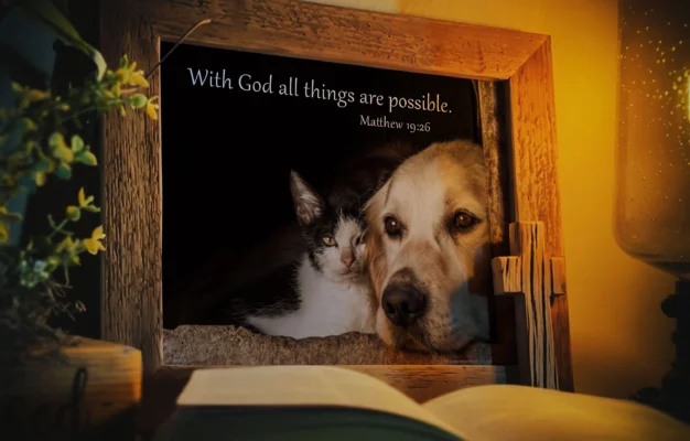 Bible Verse Matthew 19 26 Christian Scripture Dog Cat Art Print 8x10 Unframed Classroom Dog Kennel Breeder Veterinarian Home Wall Decor Gift Etsy