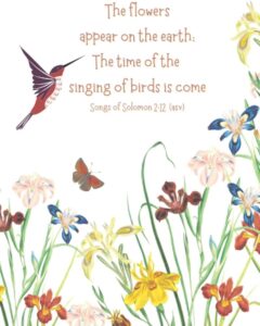 Bible Verse Paperback Notebook The Flowers Appear On The Earth The Time Of The Singing Of Birds Is Come Songs Of Solomon 2 12 6 X 9 120 Pages Christian Quote Notebook Journal