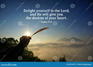 Bible Verse Quote Delight Yourself In The Lord And He Will Give You The Desires Of Your Heart Psalm 37 4 Stock Image Image Of Catholic Word 355334737