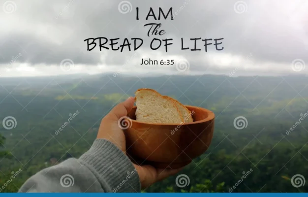 Bible Verse Quote I Am The Bread Of Life John 6 35 With Hand Of A Person Holding Bread On Wooden Bowl Mountain Background Stock Photo Image Of Dramatic Background 234306668