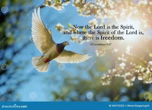 Bible Verse Quote Now The Lord Is The Spirit And Where The Spirit Of The Lord Is There Is Freedom 2 Corinthians 3 17 Stock Illustration Illustration Of Flower Nature 344733220