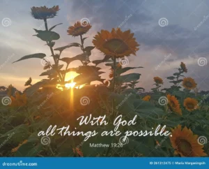 Bible Verse Quote With God All Things Are Possible Matthew 19 26 With Light Of The Sunset Between Sunflower Plants Stock Image Image Of Sunset Nature 261312475