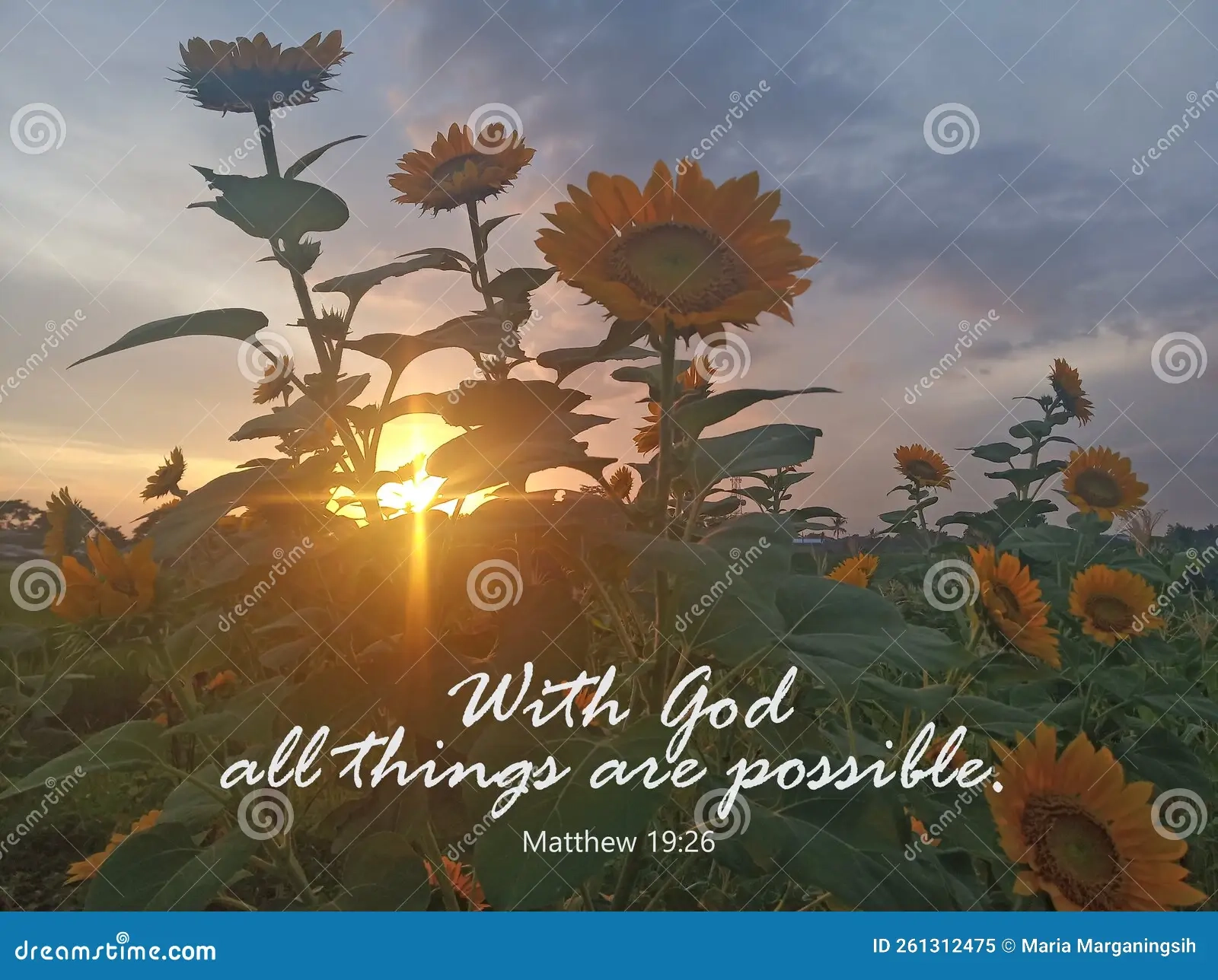 Bible Quotes About Sunset