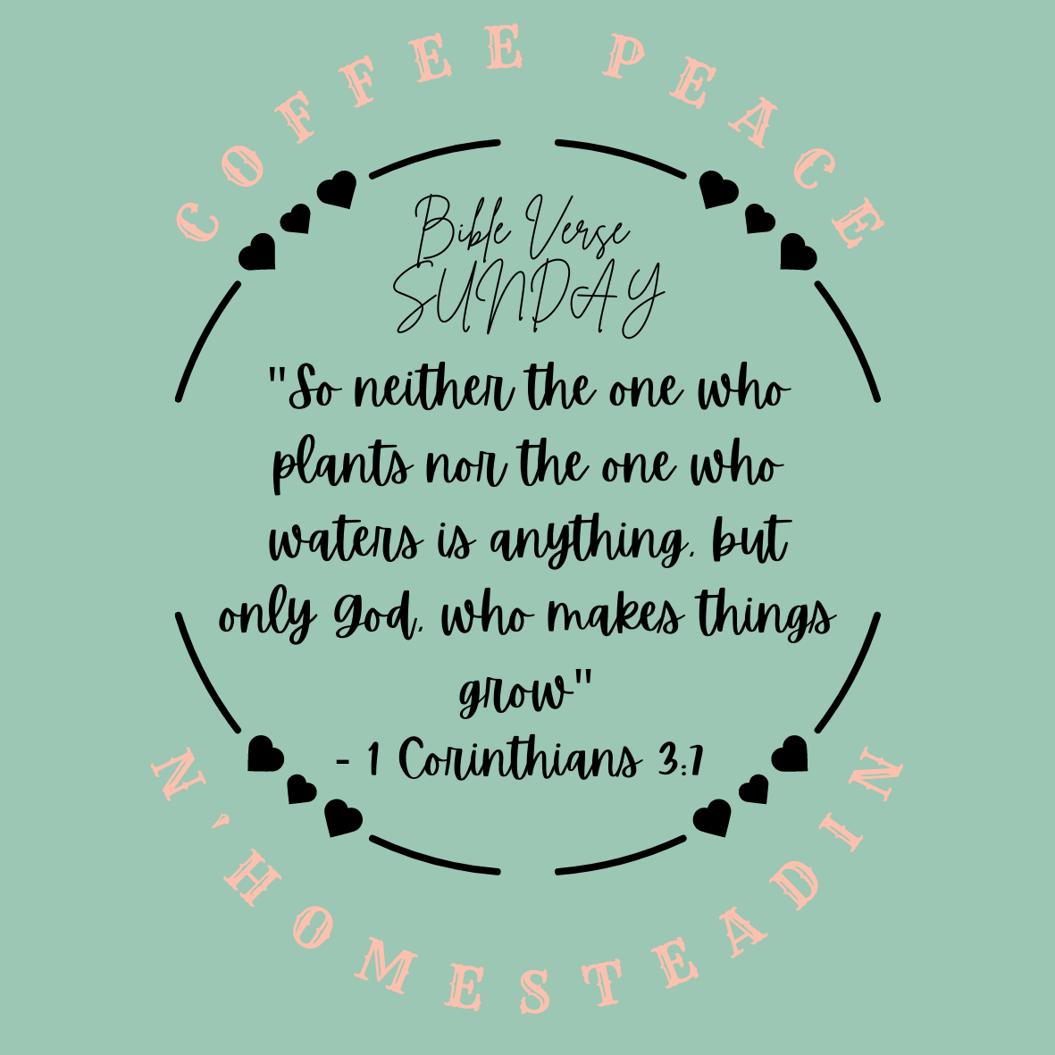 Bible Quote About Plants