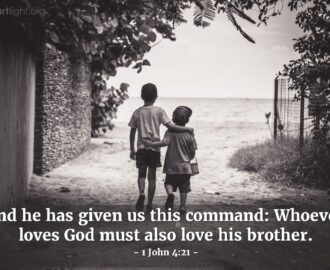 Bible Verses About Brotherhood