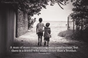 Bible Verses About Brotherhood