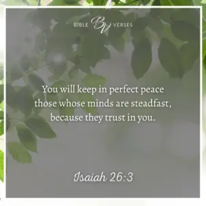 Bible Verses About Calm