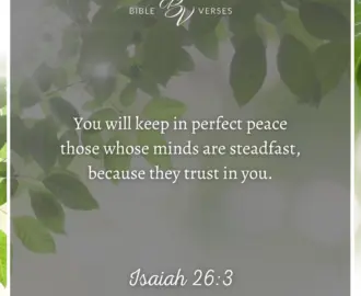 Bible Verses About Calm