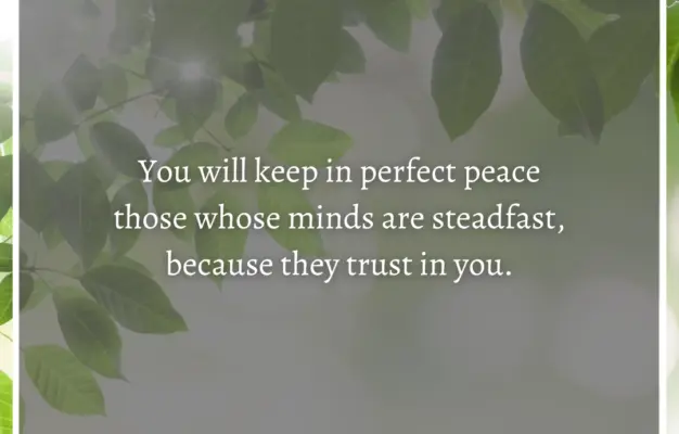 Bible Verses About Calm