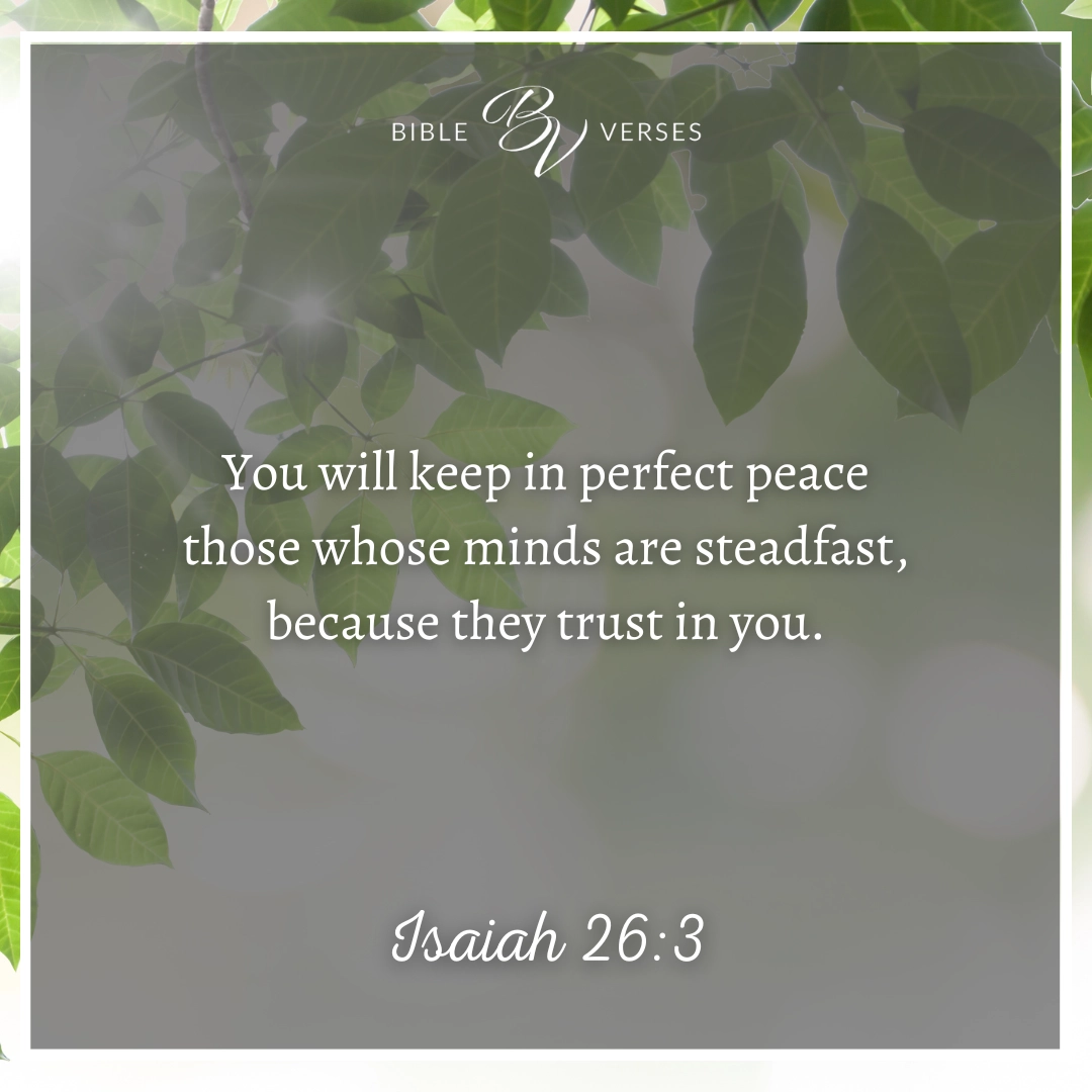 Bible Verses About Calm
