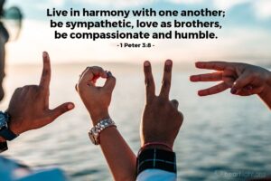 Bible Verses About Compassion