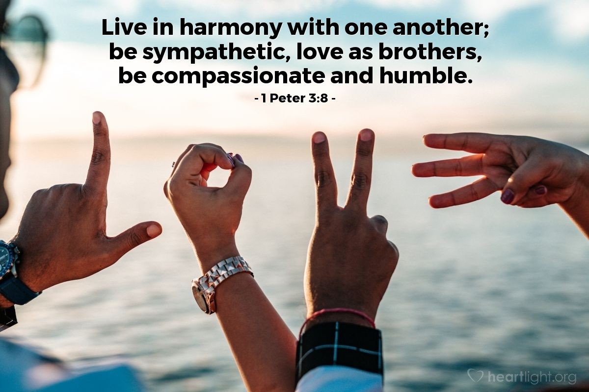 Bible Verses About Compassion 