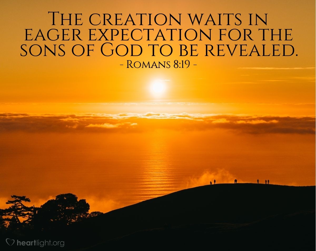 Bible Verses About Creation 