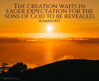 Bible Verses About Creation