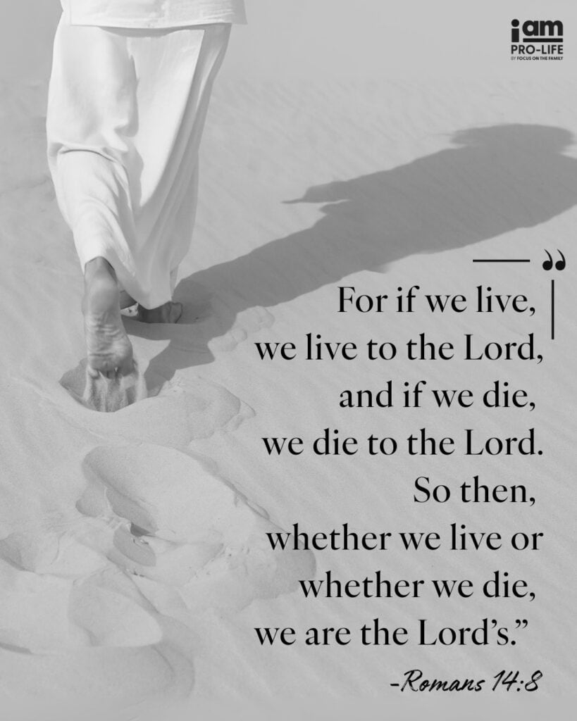 Bible Quotes About World Ending