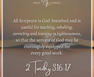 Bible Verses About Discipline