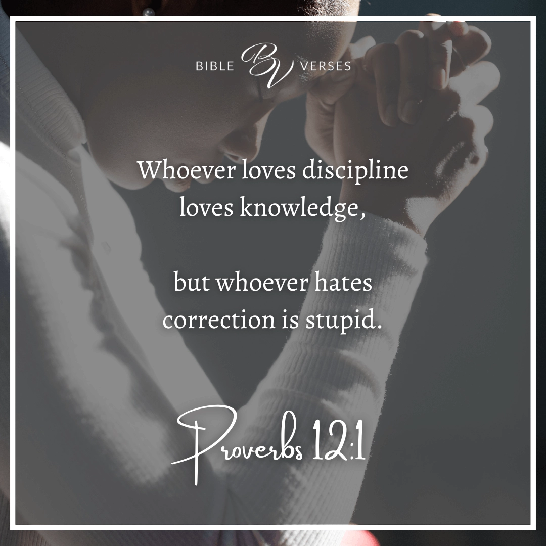 Bible Verses About Discipline