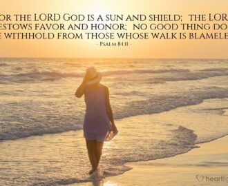 Bible Verses About Honor