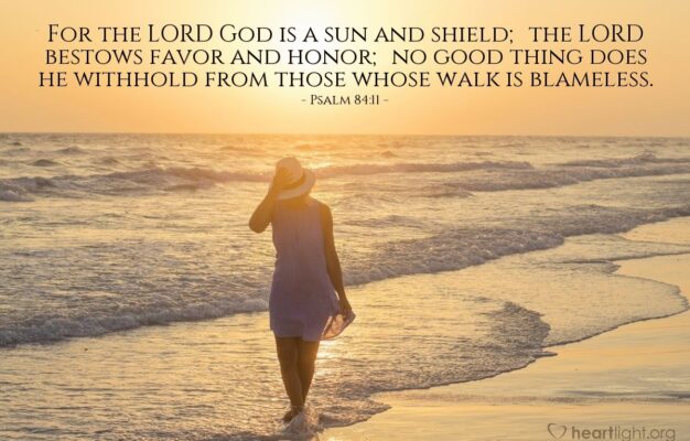 Bible Verses About Honor